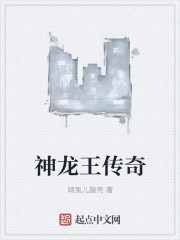 神龙王传奇